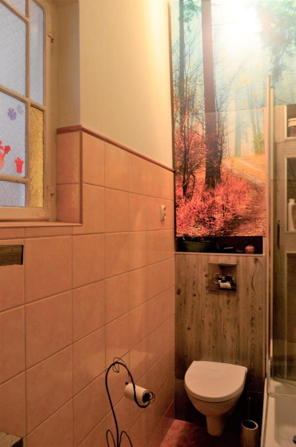Dom Otwarty Apartment Jelenia Góra Екстериор снимка