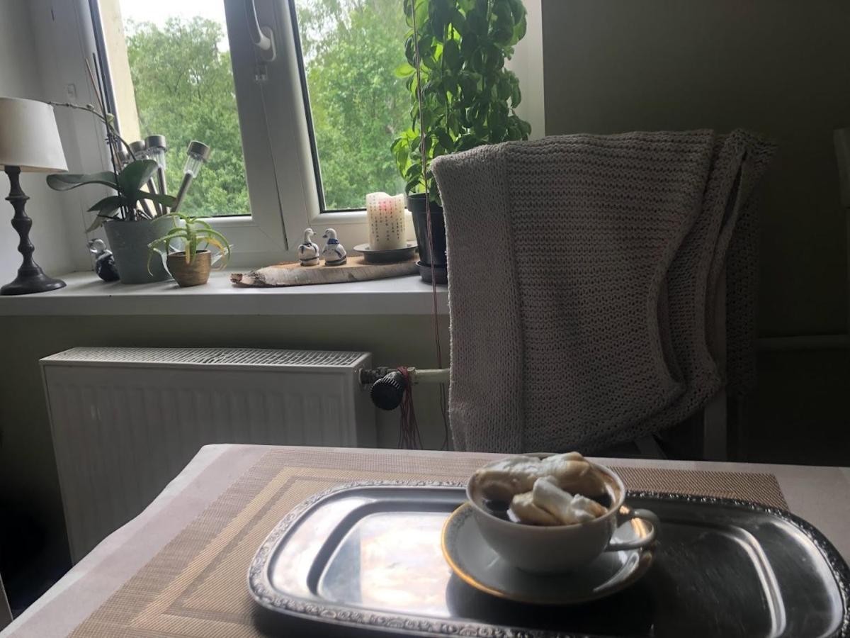 Dom Otwarty Apartment Jelenia Góra Екстериор снимка